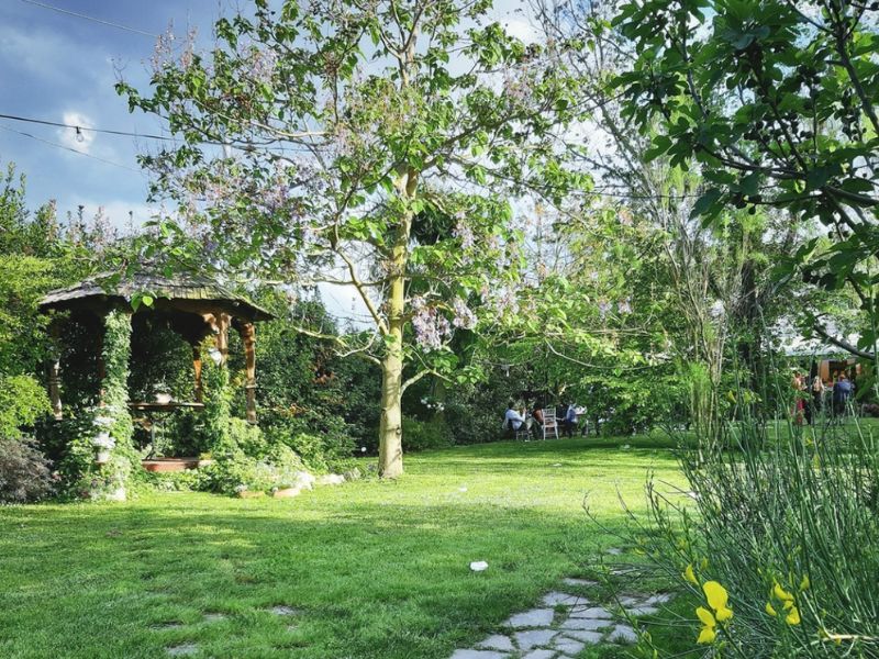Giardino del nostro Bed and Breakfast pet-friendly Cesenatico